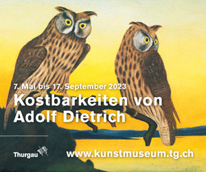 (tutti) Kostbarkeiten von Adolf Dietrich (Kunsmuseum)
