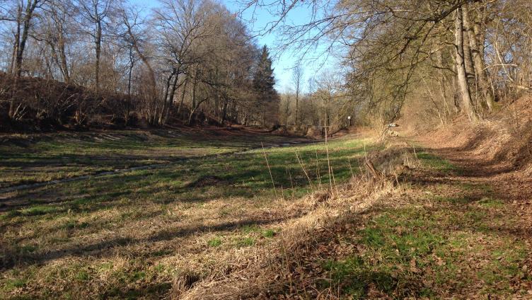 Den Frühling im Gepäck