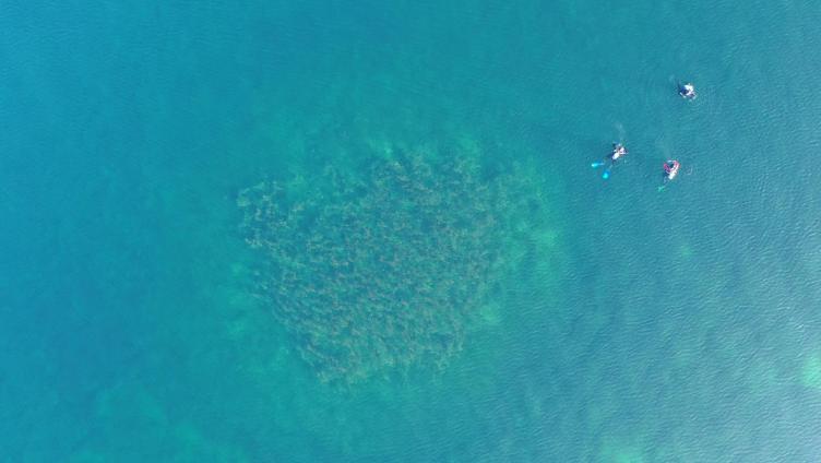 Die Hügeli im Bodensee bleiben ein Rätsel. Noch.